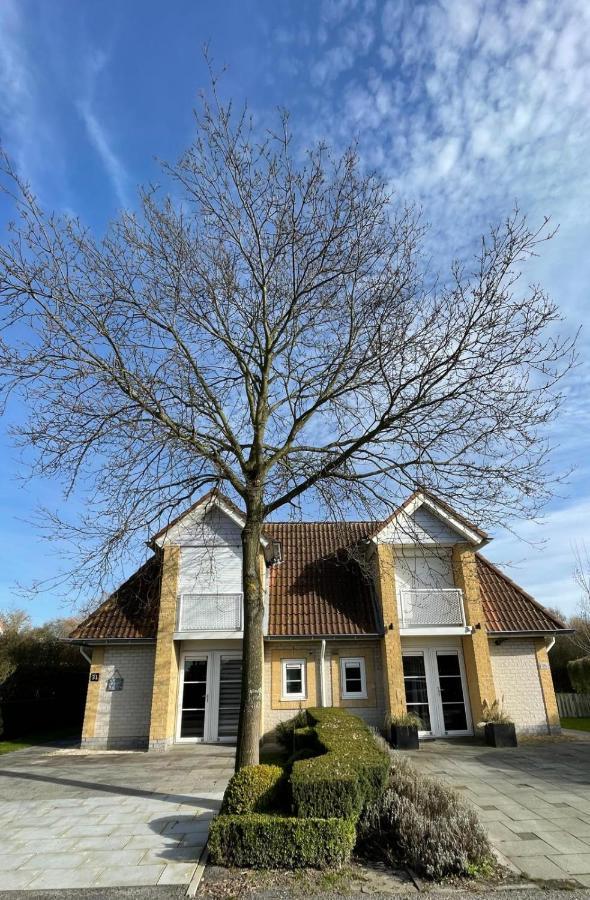 Vakantiehuis Met Luxe Tuin Dichtbij Het Strand Kamperland Luaran gambar